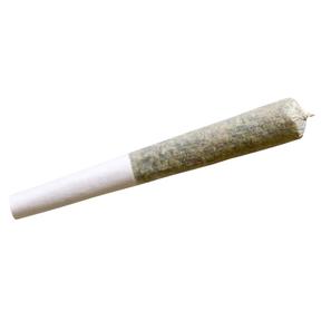 CASABLANCA (MONGOLIAN) PRE-ROLL