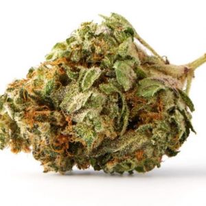 CITRUS PUNCH strain