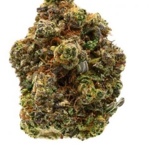 Canaca green kush terrace