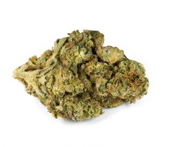 DELAHAZE strain