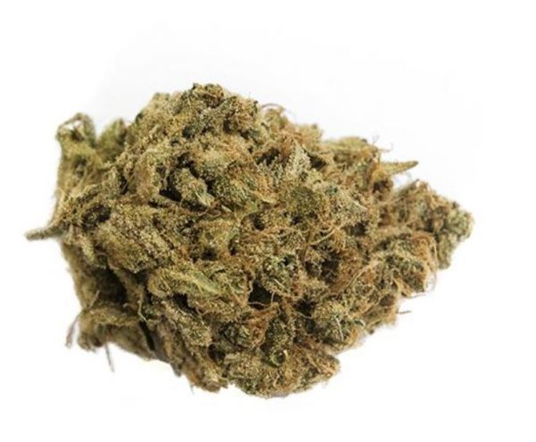 buy sativas online terrace