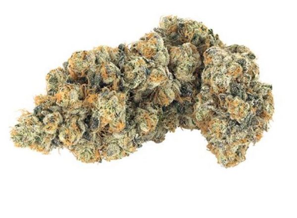 Broken Coast Cannabis- GABRIOLA