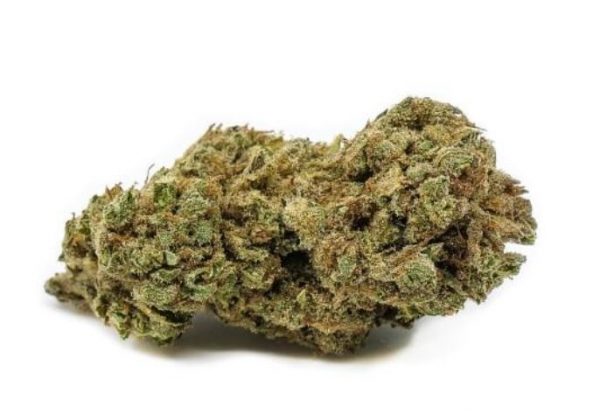 GOD BUD terrace