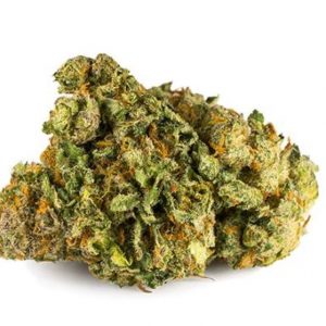 NORTH STAR CBD