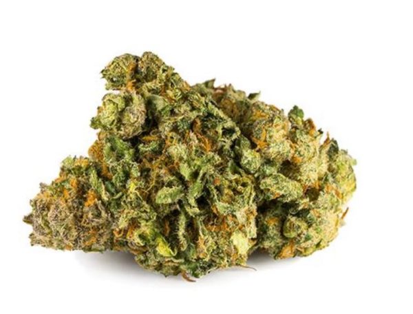 NORTH STAR CBD