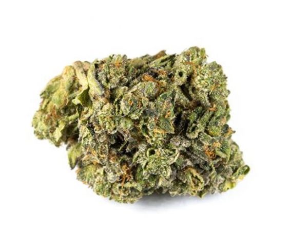 PINK KUSH strain