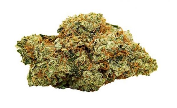 buy cannabis strain terrace bc