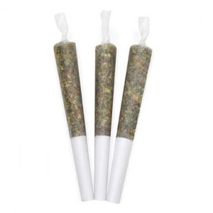 RISE PRE ROLL