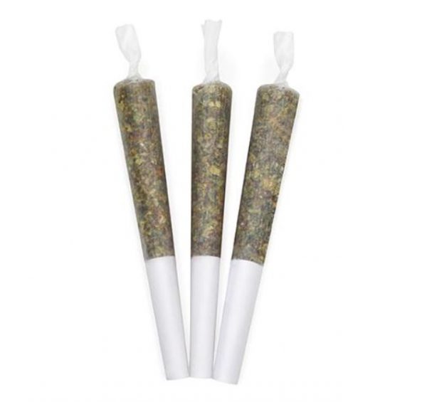 RISE PRE ROLL