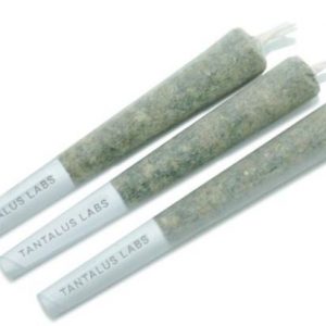SKY PILOT PRE-ROLL