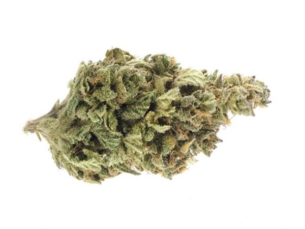 SUPER SKUNK strain