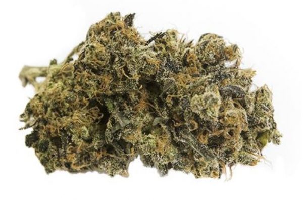 SHISHKABERRY strain