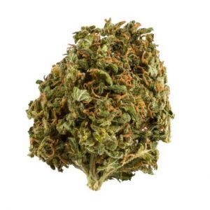 Buy weed in Terrace - blue dream