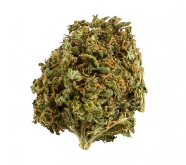 Buy weed in Terrace - blue dream