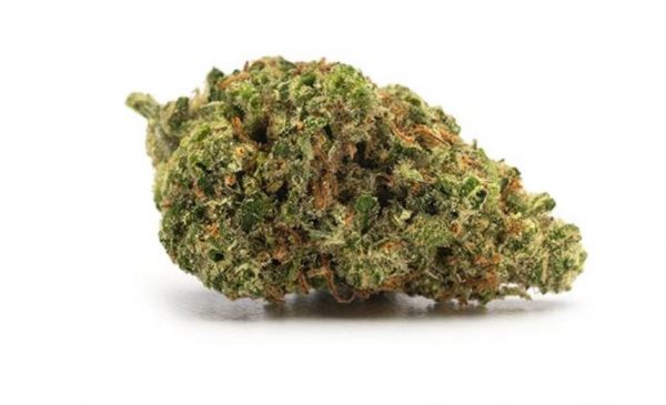 marijuana dispensary terrace bc