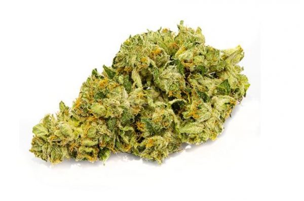 island pink - best cannabis dispensary Terrace