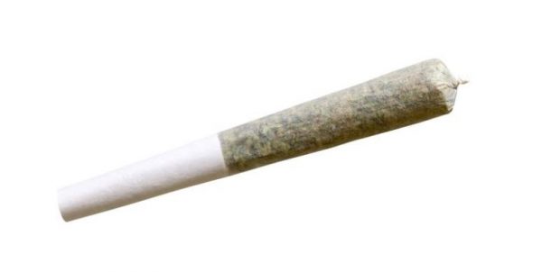 rio bravo pre-roll